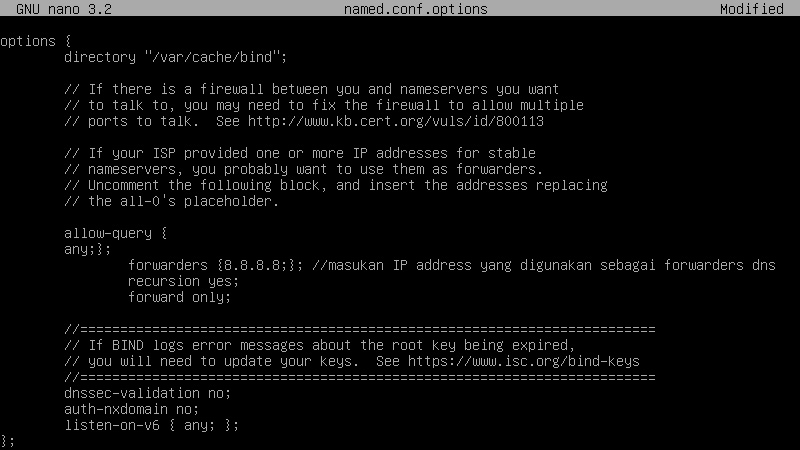 named.conf.options