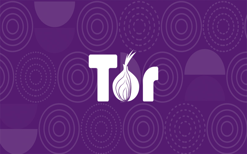 Browser Paling Aman Tor Browser