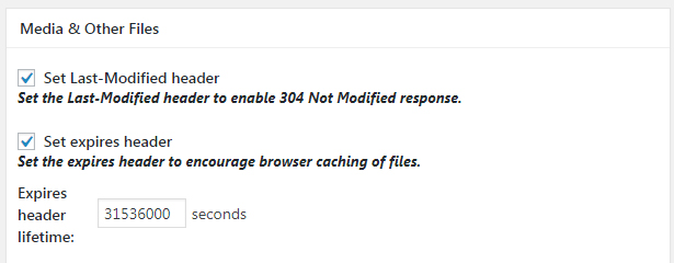 Set Media & other Files Expires Header W3Total Cache